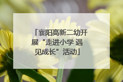 襄阳高新二幼开展“走进小学 遇见成长”活动